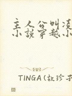 主人公叫凌天的小说穿越小说