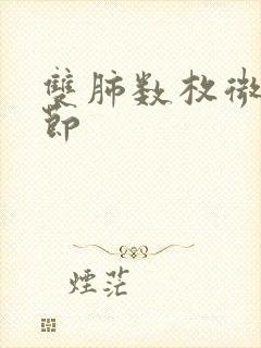 双肺数枚微小结节