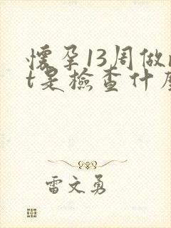 怀孕13周做nt是检查什么