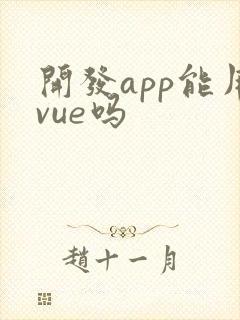 开发app能用vue吗