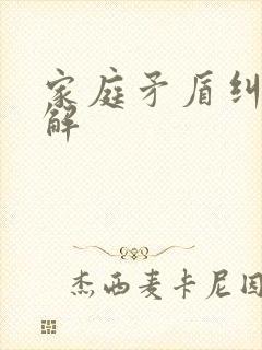 家庭矛盾纠纷调解