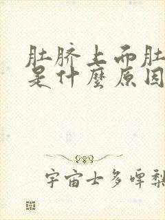 肚脐上面肚子大是什么原因引起的