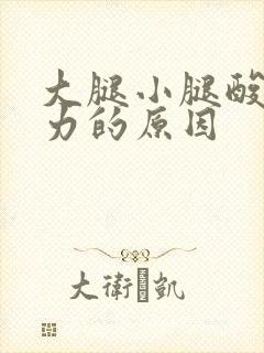 大腿小腿酸痛无力的原因