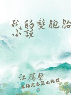 我的双胞胎老婆小说