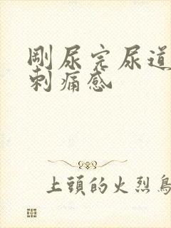 刚尿完尿道口有刺痛感