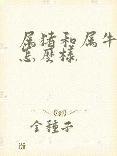 属猪和属牛姻缘怎么样