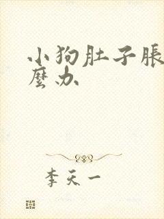 小狗肚子胀气怎么办