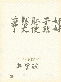 突然肚子好痛拉了大便就好多了