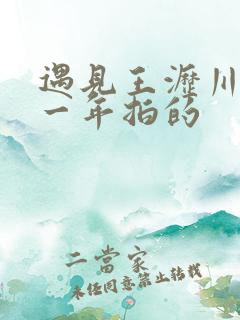 遇见王沥川是哪一年拍的