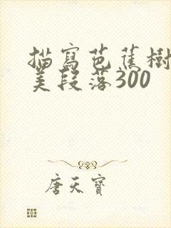 描写芭蕉树的优美段落300