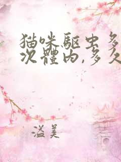 猫咪驱虫多久一次体内,多久一次体外