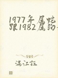 1977年属蛇跟1982属狗婚配