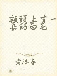 额头上有一根很长的白毛