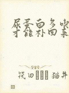 尿蛋白多吃什么才能补回来