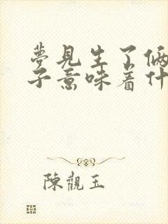 梦见生了俩男孩子意味着什么