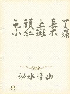 龟头上长了很多小红斑不痛不痒