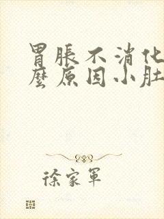 胃胀不消化是什么原因小肚发胀