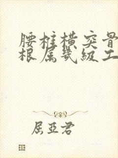 腰椎横突骨折2根属几级工伤