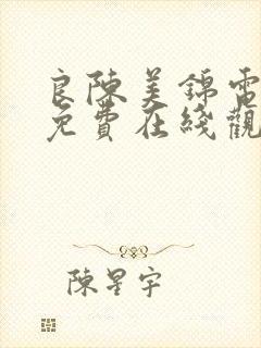 良陈美锦电视剧免费在线观看