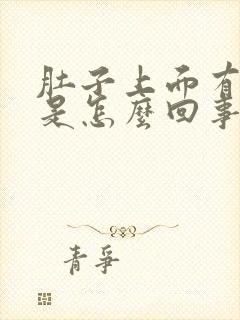 肚子上面有点疼是怎么回事