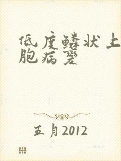 低度鳞状上皮细胞病变