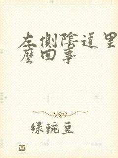 左侧阴道里疼怎么回事