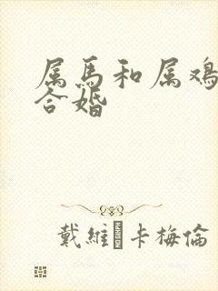 属马和属鸡合不合婚