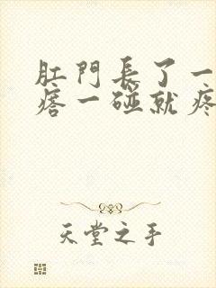 肛门长了一个疙瘩一碰就疼