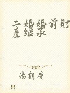 二婚婚前财产遗产继承