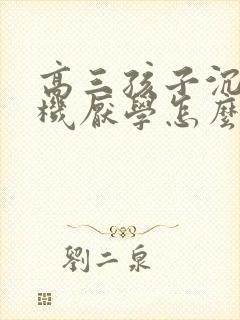 高三孩子沉迷手机厌学怎么办呢