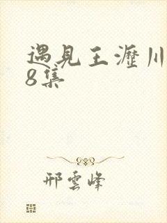 遇见王沥川第38集