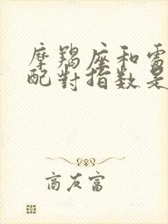 摩羯座和处女座配对指数是多少