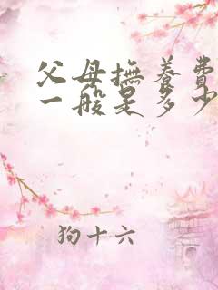 父母抚养费标准一般是多少钱一个月