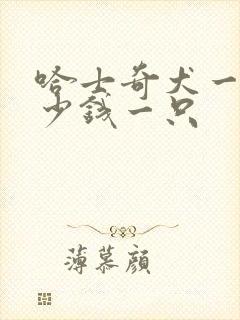 哈士奇犬一般多少钱一只