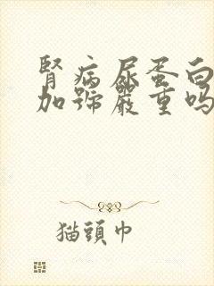 肾病尿蛋白2个加号严重吗