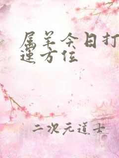 属羊今日打牌财运方位