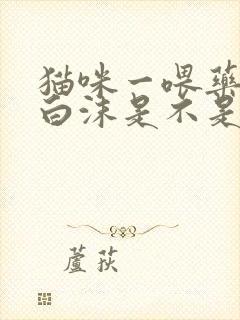 猫咪一喂药就吐白沫是不是白喂了