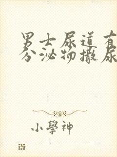 男士尿道有白色分泌物撒尿有点疼