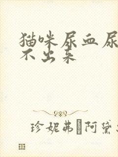 猫咪尿血尿频尿不出来