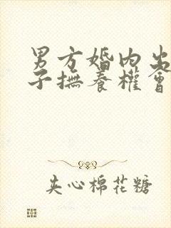 男方婚内出轨孩子抚养权会怎么判