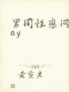 男同性恋网站gay