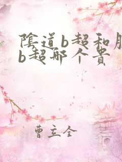 阴道b超和腹部b超哪个贵