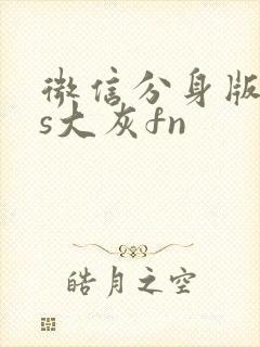 微信分身版ios大灰fn