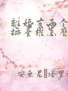 离婚有两个小孩抚养权怎么判定