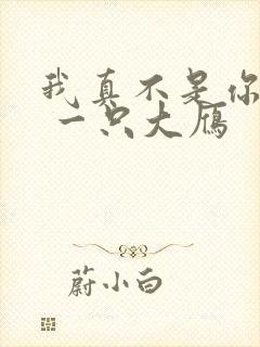 我真不是你师父 一只大雁