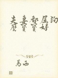 夫妻都属狗生什么宝宝好