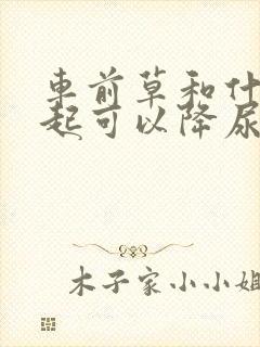 车前草和什么一起可以降尿酸