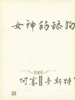 女神的舔狗