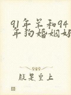 91年羊和94年狗婚姻好不好
