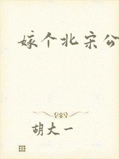 嫁个北宋公务员